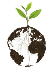 Логотип дня